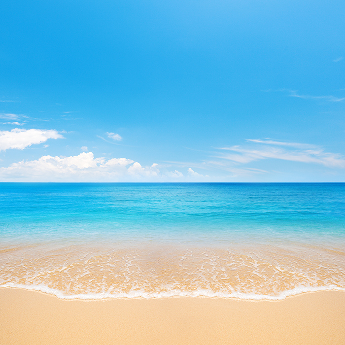 Beach and Tropical Sea - Gallery Corner